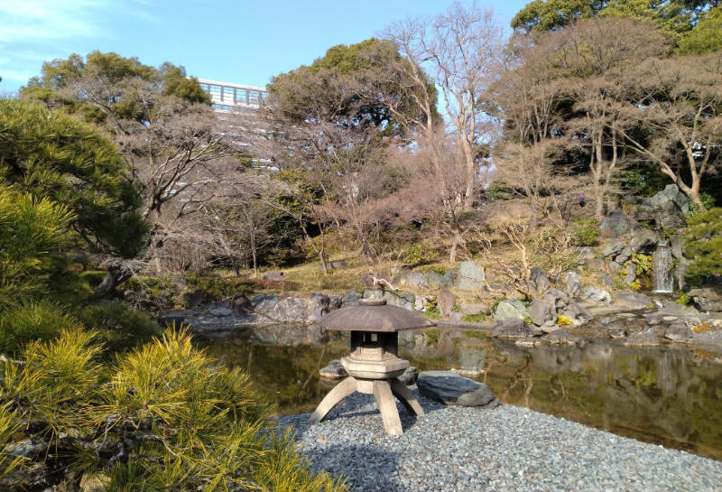 2026年2月21日東京40代以上の女子ランチ会